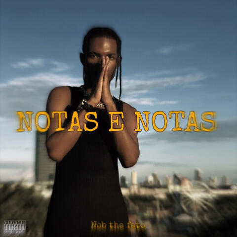 Notas e notas