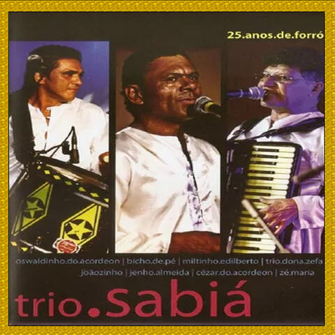 25 ANOS DE FORRÓ