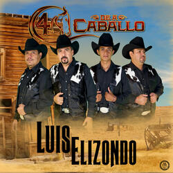 Luis Elizondo