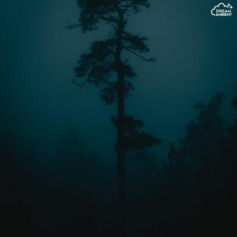 Night talk