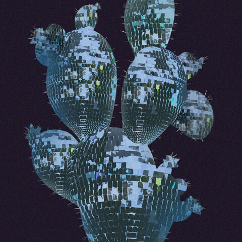 Cactus Dance