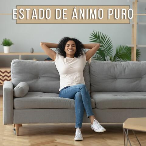 Estado de Ánimo Puro: New Age Instrumental y Sonidos Naturales para Mejorar el Estado Emocional, Reducir la Ansiedad y Encontrar Remedio para el Sueño