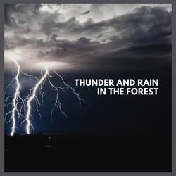 Thunder and Rain in the Forest (Pt. 32)