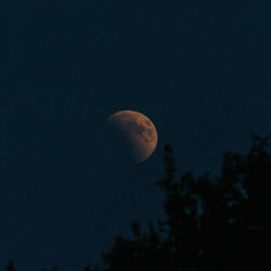 summer memories (Slowed Down // Nø Reverb)