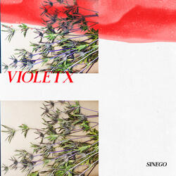 Violeta