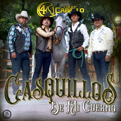 Casquillos De Mi Cuerno