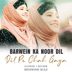 Barwein Ka Noor Dil Pe Chah Gaya Lofi