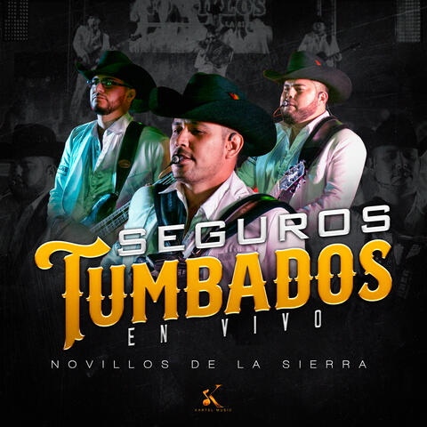 Seguros Tumbado