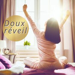 Méditation sur la gratitude