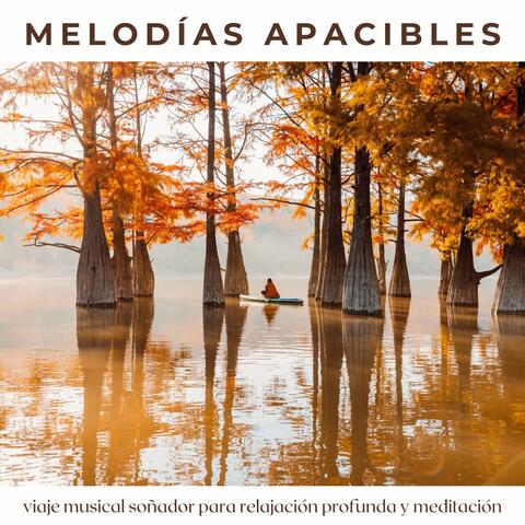 Melodías Apacibles: Viaje Musical Soñador para Relajación Profunda y Meditación