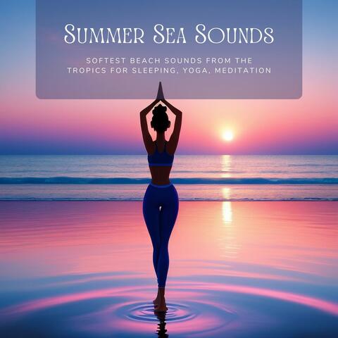 Ocean Waves Specialists