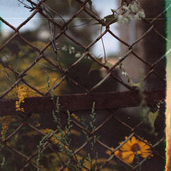 Flavors Of September