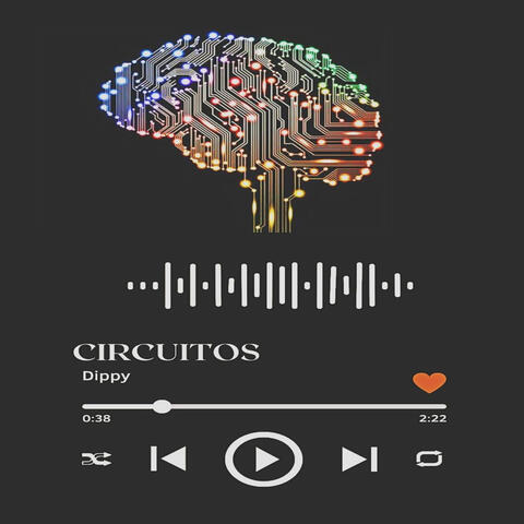 Circuitos