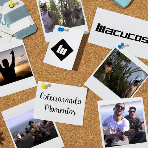 Colecionando Momentos