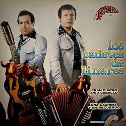 Una Lágrima y Un Recuerdo