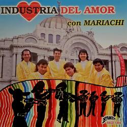 De Tu Amor No Necesito
