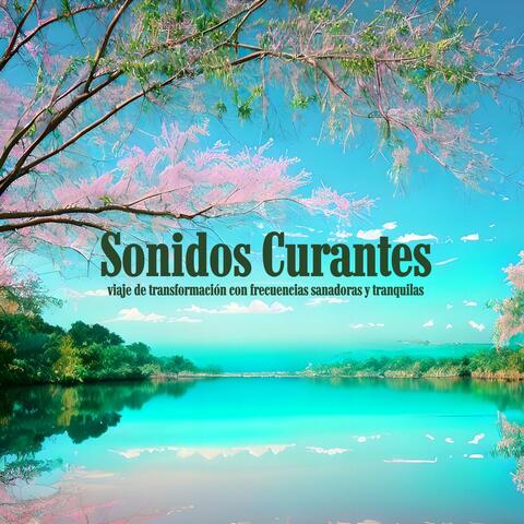 Sonidos Curantes: Viaje de Transformación con Frecuencias Sanadoras y Tranquilas
