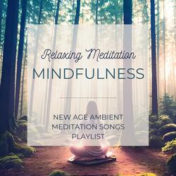 Deep Mindfulness