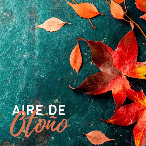 Aire de Otoño: Melodías que Invitan al Sueño y la Recuperación