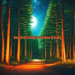 Crickets Singing and Tuning in the Night