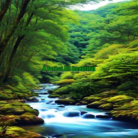A Forest All Beautiful