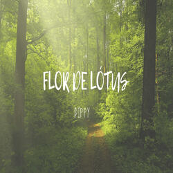Flor De Lótus