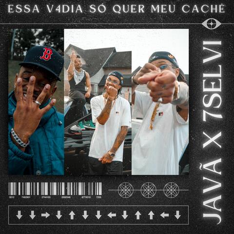 Essa V4dia só Quer meu Cachê
