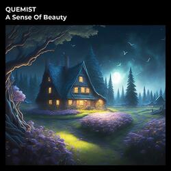A Sense Of Beauty