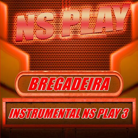 Bregadeira Instrumental NS Play 3