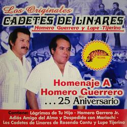 Ven A Buscarme