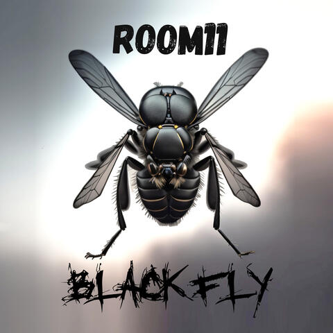Black Fly