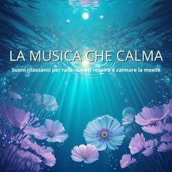 Serenità