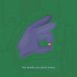 the seeds you plant today