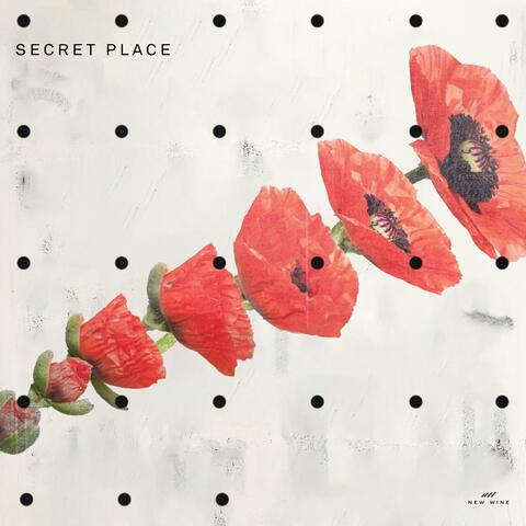 Secret Place (Live)