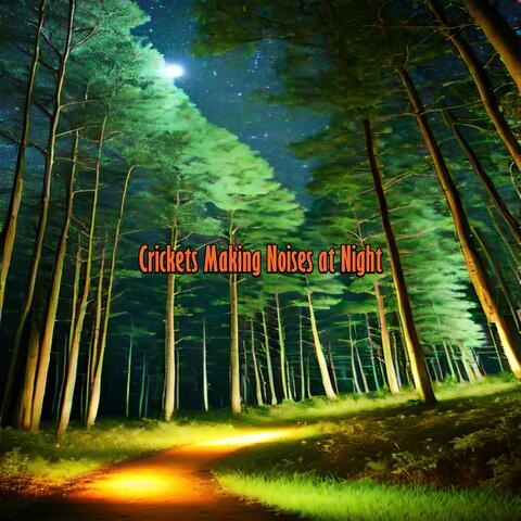 Crickets Making Noises at Night