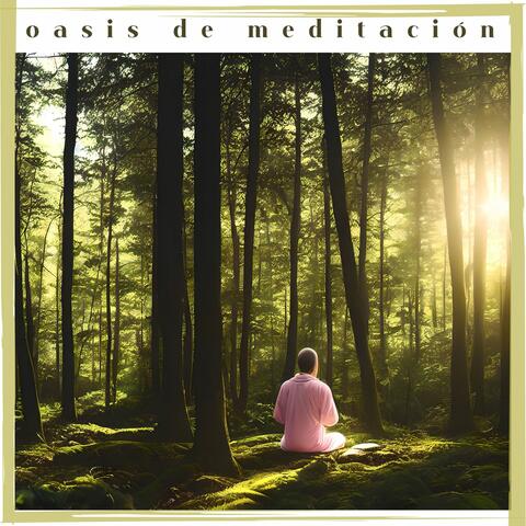 Oasis de Meditación: Terapia de Ruido Blanco, Música de Masaje de Sueño Profundo para Relajación Tranquila