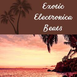 Enchanted Frequencies