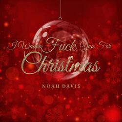 I Wanna Fuck You For Christmas