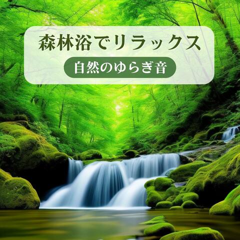 森林浴でリラックス - 野鳥観察, 川の流れの音, 不規則な自然のゆらぎ音