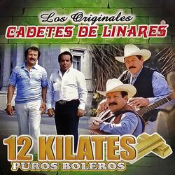 Un Viejo Amor