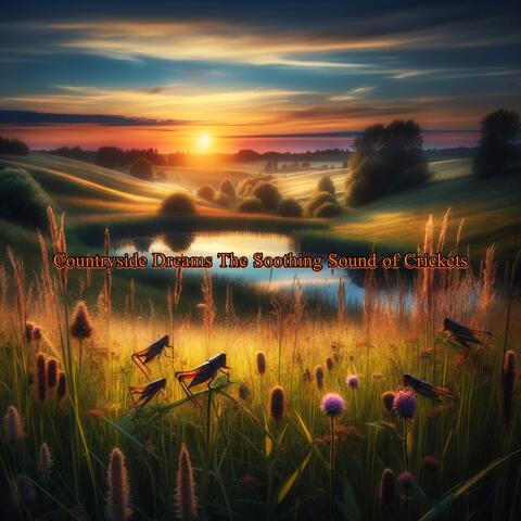 Countryside Dreams The Soothing Sound of Crickets