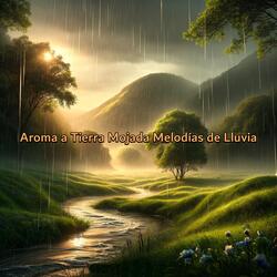 Acordes de Lluvia Serenata de Gotas
