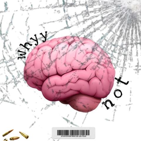 NO BRAIN FREESTYLE0.1