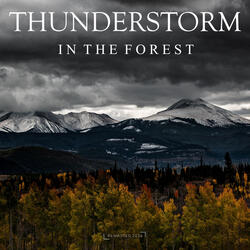 Rainstorm in the Woods, Part 17 (2024 Remaster)