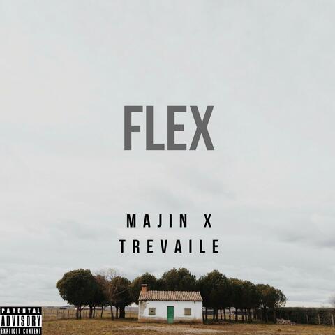 Flex (feat. Trevaile)