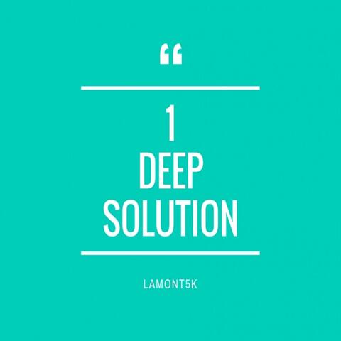 1deepsolution