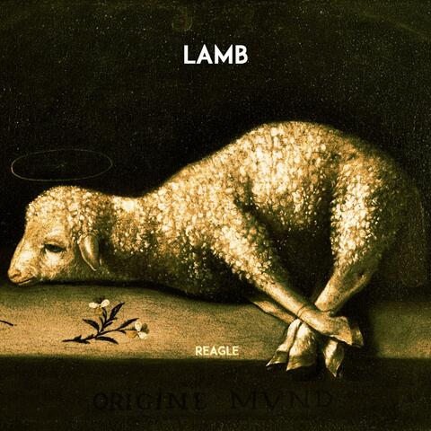 Lamb