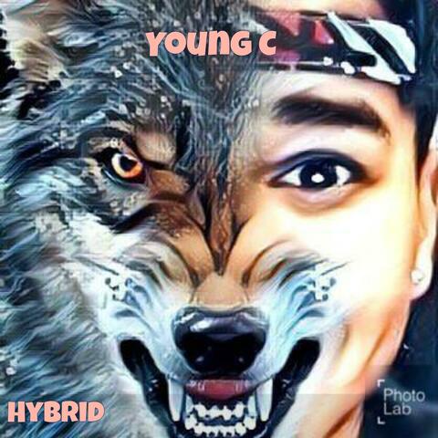 HyBrid