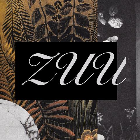 Zuu
