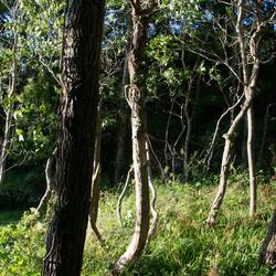 Take My Hand (Through the Darkness)